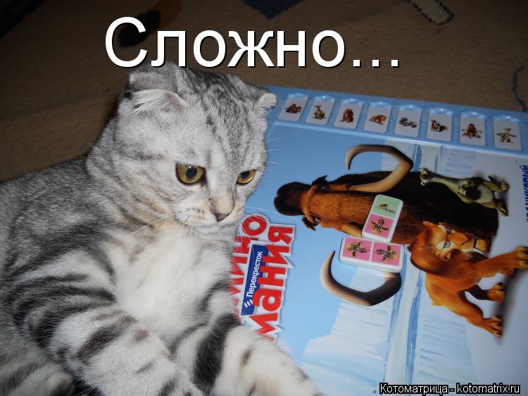 Котоматрица: Сложно...