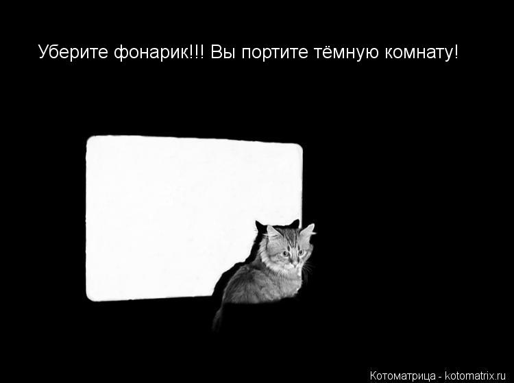 Котоматрица: Уберите фонарик!!! Вы портите тёмную комнату!