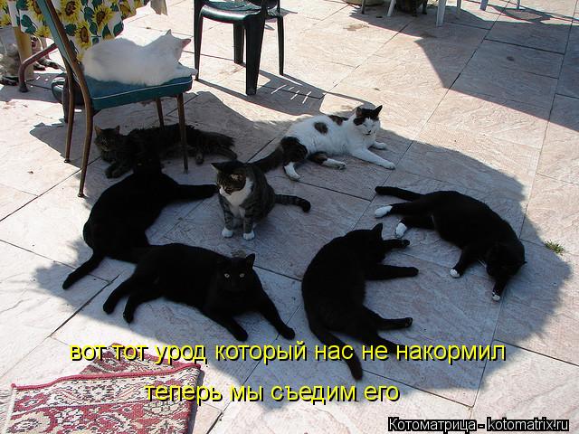 Котоматрица: вот тот урод который нас не накормил теперь мы съедим его