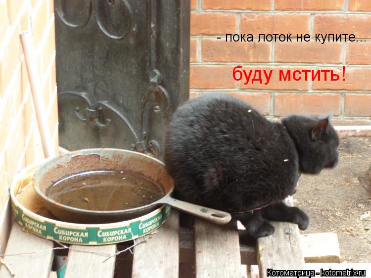 Котоматрица: - пока лоток не купите... буду мстить!