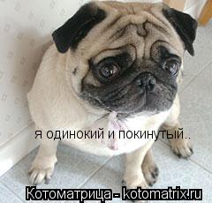 Котоматрица: я одинокий и покинутый..