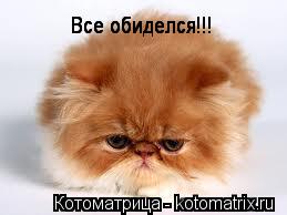 Котоматрица: Все обиделся!!! Все обиделся!!! Все обиделся!!!