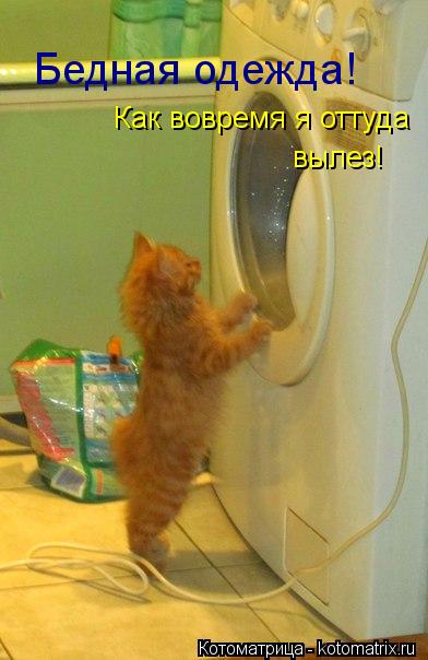 Котоматрица: Бедная одежда! Как вовремя я оттуда вылез!