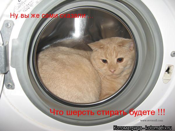 Котоматрица: Ну вы же сами сказали ... Что шерсть стирать будете !!!