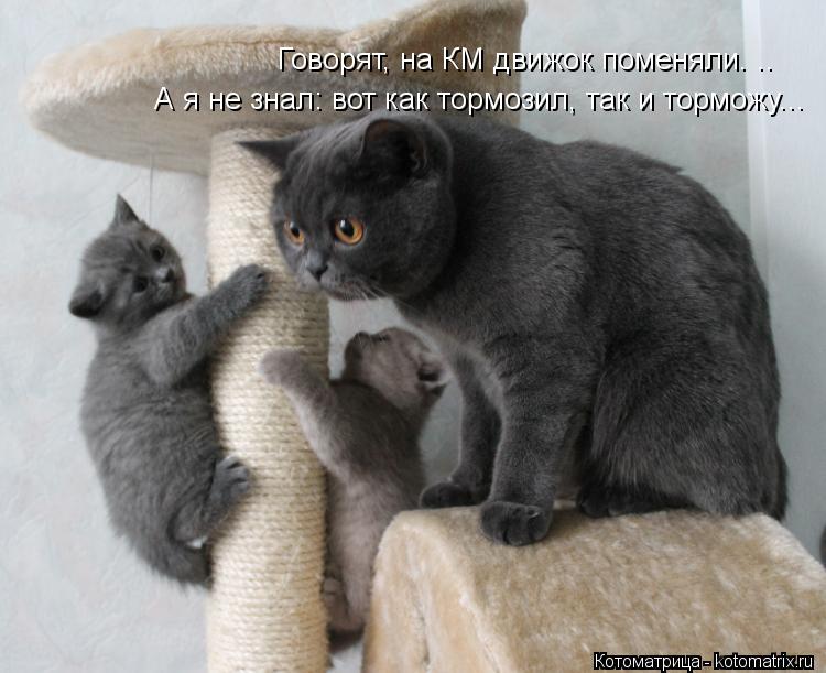 Котоматрица: Говорят, на КМ движок поменяли. .. А я не знал: вот как тормозил, так и торможу...