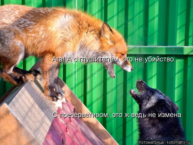 Котоматрица: С презервативом, это ж ведь не измена Ага! А с глушителем, это не убийство...