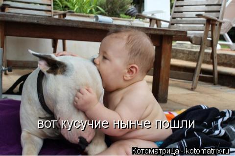 Котоматрица: вот кусучие нынче пошли