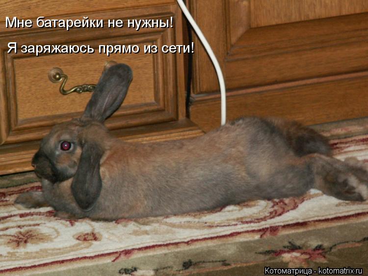 Котоматрица: Я заряжаюсь прямо из сети!  Мне батарейки не нужны!