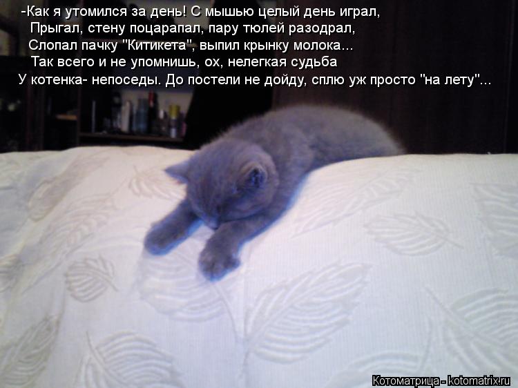 Котоматрица: -Как я утомился за день! С мышью целый день играл, Прыгал, стену поцарапал, пару тюлей разодрал, Слопал пачку "Китикета", выпил крынку молока...