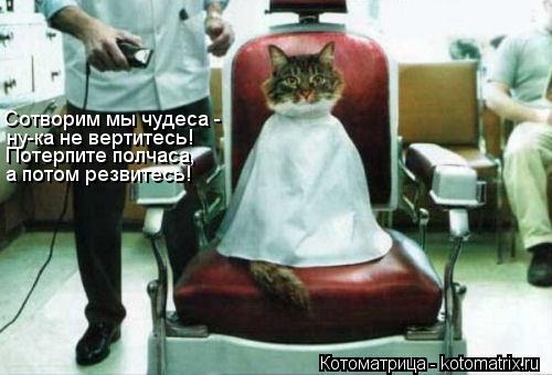 Котоматрица: Сотворим мы чудеса - ну-ка не вертитесь! Потерпите полчаса, а потом резвитесь!