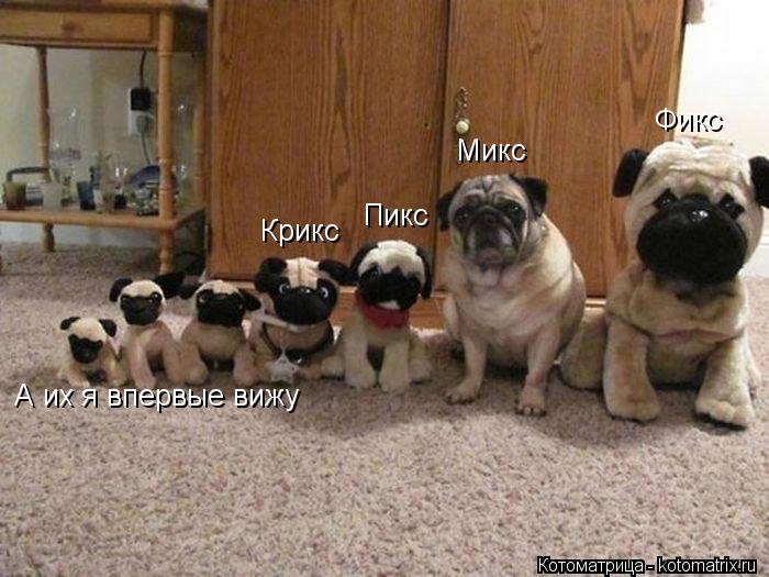 Котоматрица: Микс Фикс Пикс Крикс А их я впервые вижу