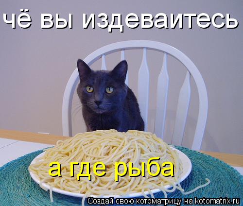 Котоматрица: чё вы издеваитесь а где рыба