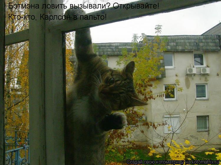 Котоматрица: Бэтмэна ловить вызывали? Открывайте! Кто-кто, Карлсон в пальто!