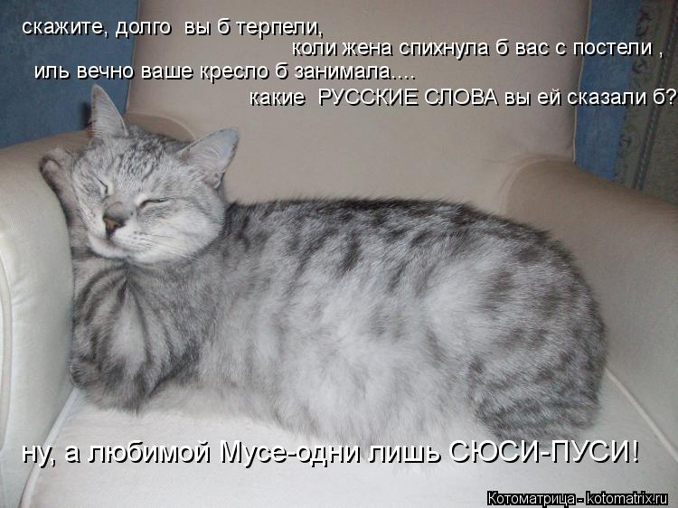 Котоматрица: скажите, долго  вы б терпели, коли жена спихнула б вас с постели , иль вечно ваше кресло б занимала.... какие  РУССКИЕ СЛОВА вы ей сказали б? ну, 