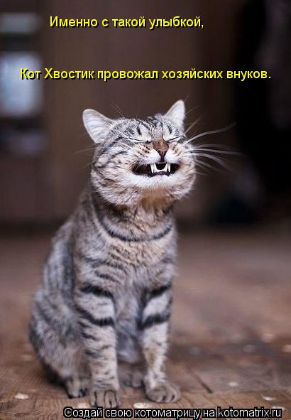 Котоматрица: Именно с такой улыбкой, Кот Хвостик провожал хозяйских внуков.