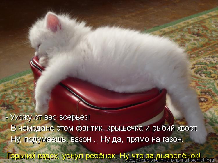 Котоматрица: - Ухожу от вас всерьёз! В чемодане этом фантик, крышечка и рыбий хвост. Ну, подумаешь, вазон... Ну да, прямо на газон... Горький вздох, уснул ребё