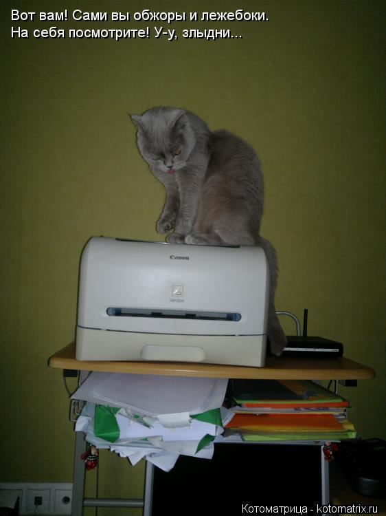 Котоматрица: Вот вам! Сами вы обжоры и лежебоки. На себя посмотрите! У-у, злыдни...