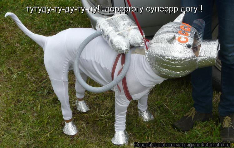 Котоматрица: тутуду-ту-ду-ту-ду!! доррргогу суперрр догу!!