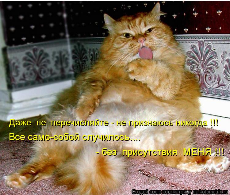 Котоматрица: Даже  не  перечисляйте - не признаюсь никогда !!! Все само-собой случилось.... - без  присутствия  МЕНЯ !!!