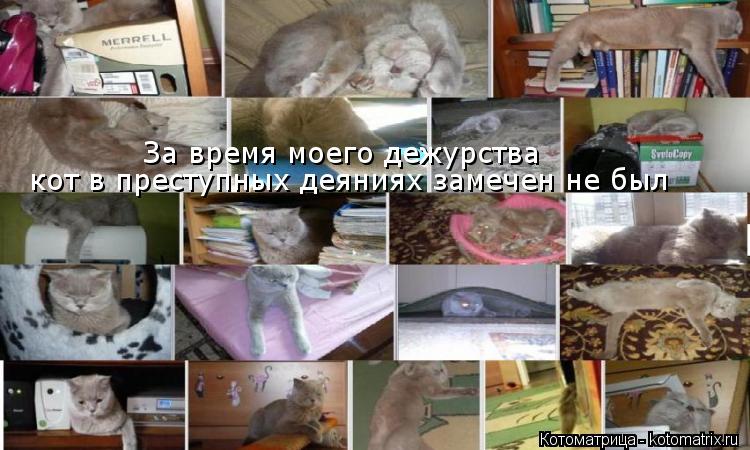 Котоматрица: За время моего дежурства кот в преступных деяниях замечен не был