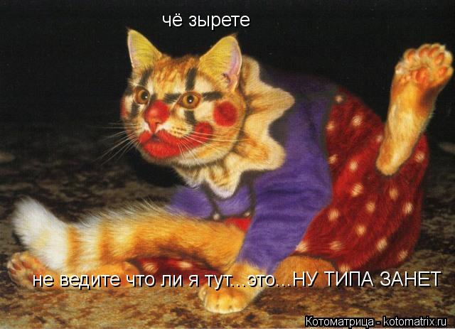 Котоматрица: не ведите что ли я тут...это...НУ ТИПА ЗАНЕТ чё зырете