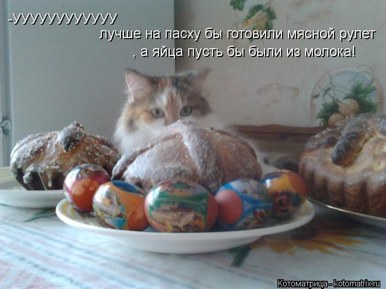 Котоматрица: -УУУУУУУУУУУУ лучше на пасху бы готовили мясной рулет   , а яйца пусть бы были из молока!