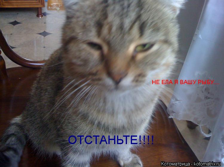 Котоматрица: НЕ ЕЛА Я ВАШУ РЫБУ....  ОТСТАНЬТЕ!!!!