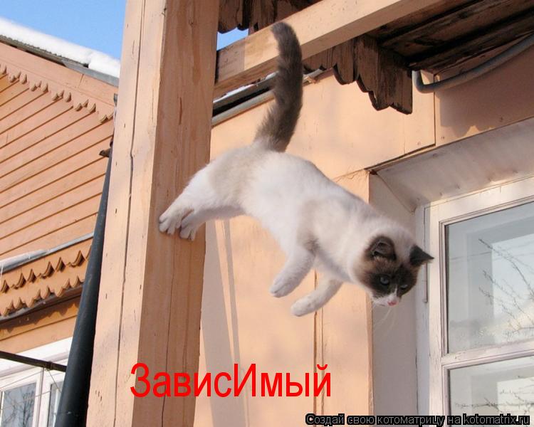 Котоматрица: ЗависИмый