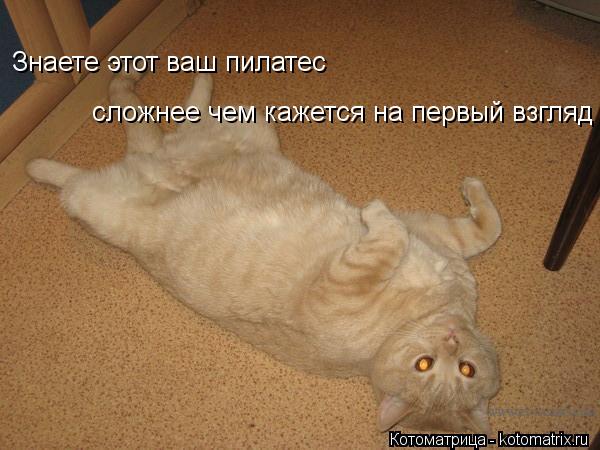 Котоматрица: Знаете этот ваш пилатес  сложнее чем кажется на первый взгляд