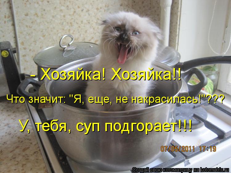 Котоматрица: - Хозяйка! Хозяйка!! Что значит: "Я, еще, не накрасилась!"??? У, тебя, суп подгорает!!!
