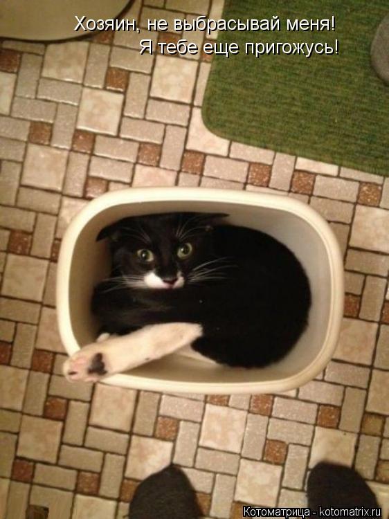 Хозяин, не выбрасывай меня! Я тебе еще пригожусь!... Котоматрица: Хозяин, не выбрасывай меня! Я тебе еще пригожусь!