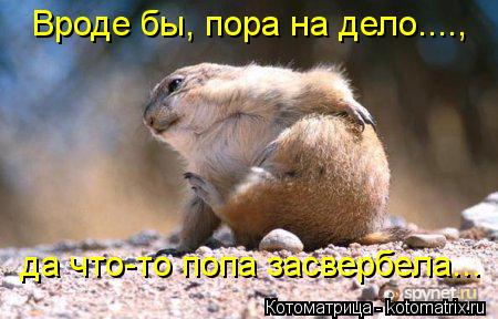 Котоматрица: Вроде бы, пора на дело...., да что-то попа засвербела...