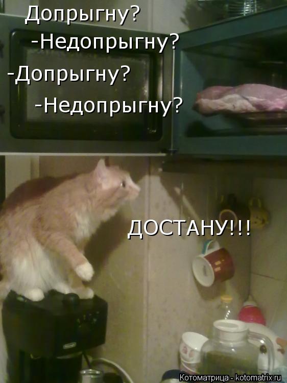 Котоматрица: Допрыгну? -Недопрыгну? -Допрыгну? -Недопрыгну? ДОCТАНУ!!!