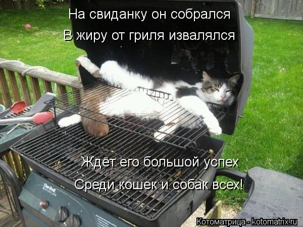 Котоматрица: На свиданку он собрался В жиру от гриля извалялся Ждёт его большой успех Среди кошек и собак всех!