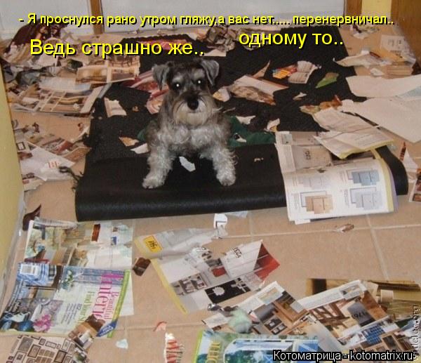 Котоматрица: - Я проснулся рано утром гляжу,а вас нет..... перенервничал.. Ведь страшно же.. одному то..
