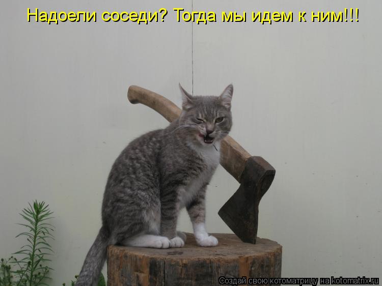 Котоматрица: Надоели соседи? Тогда мы идем к ним!!!