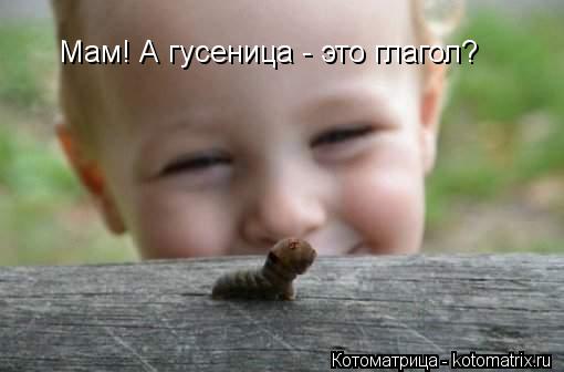 Мам! А гусеница - это глагол?... Котоматрица: Мам! А гусеница - это глагол?