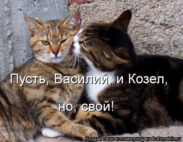 Котоматрица: Пусть, Василий, и Козел, но, свой!