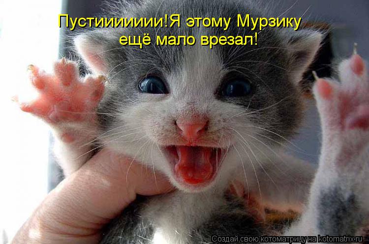 Котоматрица: Пустиииииии!Я этому Мурзику   ещё мало врезал!
