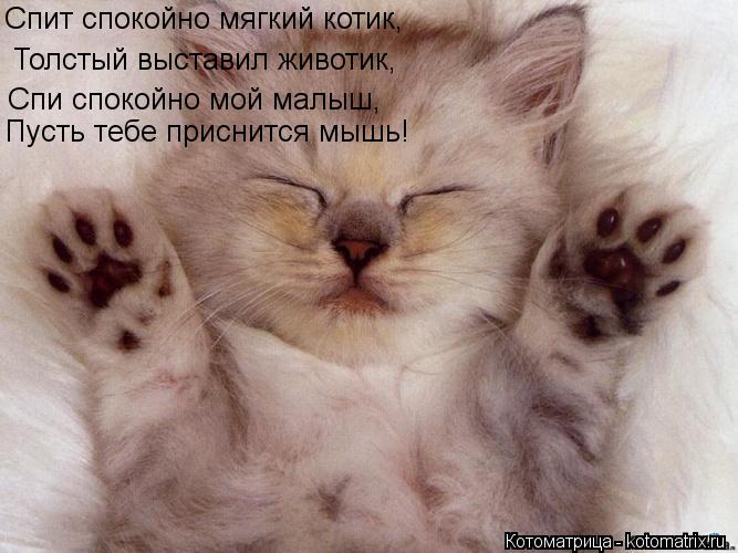 Котоматрица: Спит спокойно мягкий котик, Толстый выставил животик, Спи спокойно мой малыш, Пусть тебе приснится мышь!