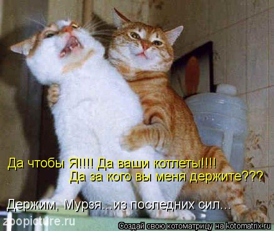 Котоматрица: Да чтобы Я!!!! Да ваши котлеты!!!!  Да за кого вы меня держите??? Держим, Мурзя...из последних сил...