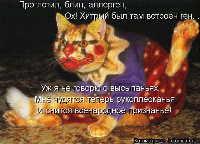 Котоматрица: Проглотил, блин, аллерген, Мне чудятся теперь рукоплесканья, Уж я не говорю о высыпаньях... И снится всенародное признанье! Ох! Хитрый был там