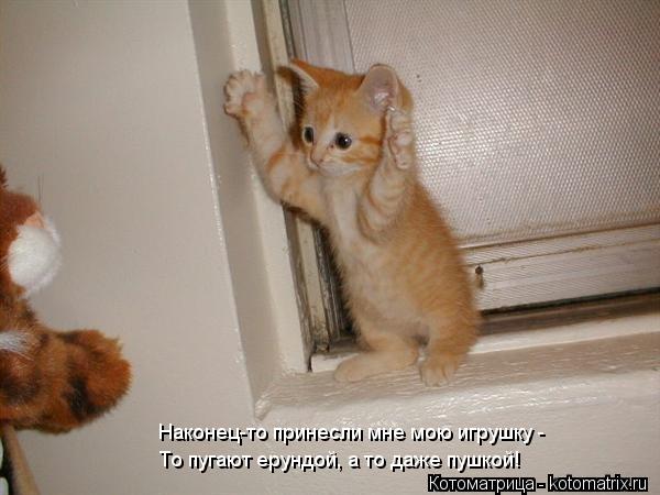 Котоматрица: Наконец-то принесли мне мою игрушку - То пугают ерундой, а то даже пушкой!