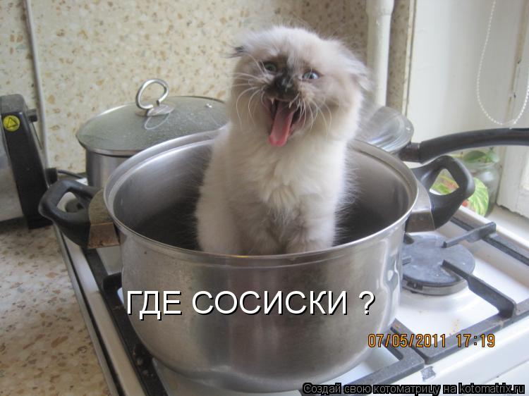 Котоматрица: ГДЕ СОСИСКИ ?