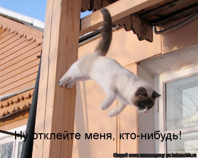 Котоматрица: Ну отклейте меня, кто-нибудь!