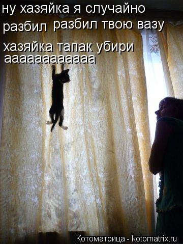 Котоматрица: ну хазяйка я случайно  разбил  разбил твою вазу хазяйка тапак убири аааааааааааа