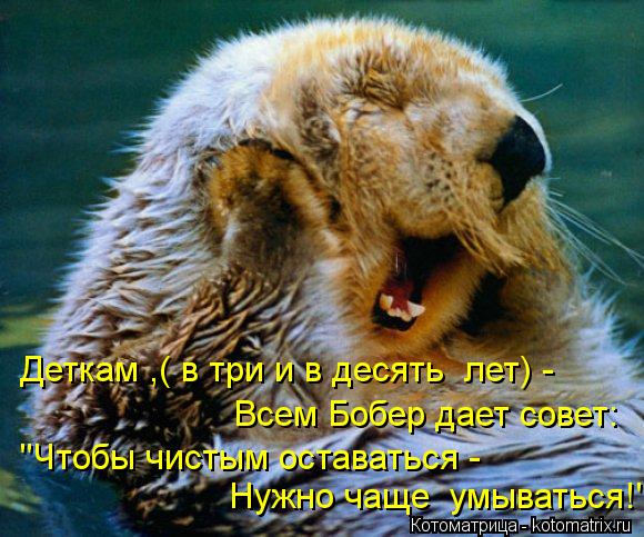 Котоматрица: Деткам ,( в три и в десять  лет) - Всем Бобер дает совет: "Чтобы чистым оставаться - Нужно чаще  умываться!"