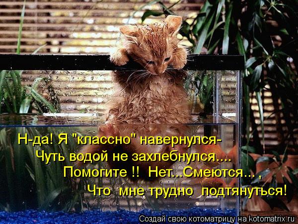 Котоматрица: Н-да! Я "классно" навернулся- Чуть водой не захлебнулся.... Помогите !!  Нет...Смеются... Что  мне трудно  подтянуться! ,