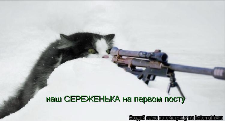 Котоматрица: наш СЕРЕЖЕНЬКА на первом посту