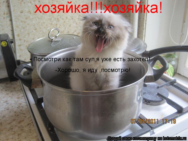 Котоматрица: хозяйка!!!хозяйка! Посмотри как там суп,я уже есть захотел! - - -Хорошо, я иду ,посмотрю!